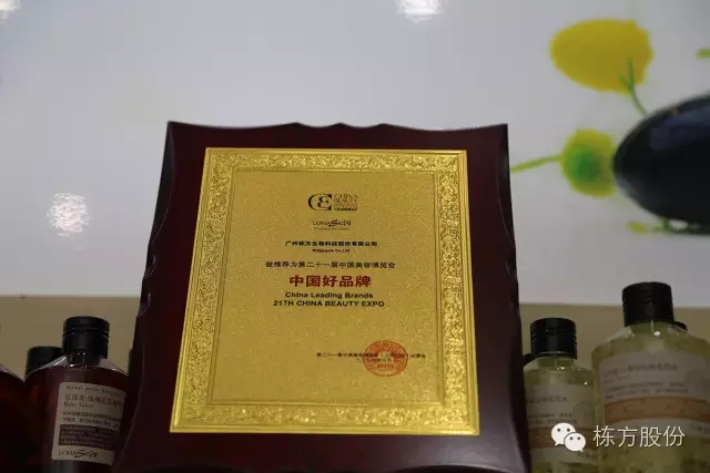 科技引領(lǐng)美麗▏棟方股份榮獲“中國(guó)好品牌獎(jiǎng)”！