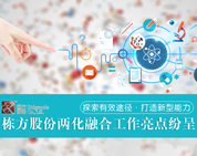 探索有效途徑，打造新型能力——棟方股份兩化融合工作亮點紛呈